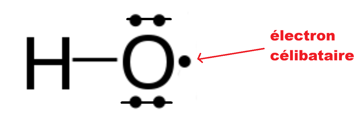 Radical : électron célibataire